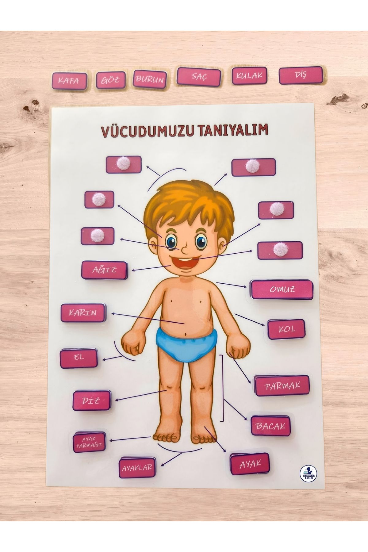 etkinliksetim VÜCUDUMUZU TANIYALIM EĞİTİCİ ETKİNLİK MATERYALİ