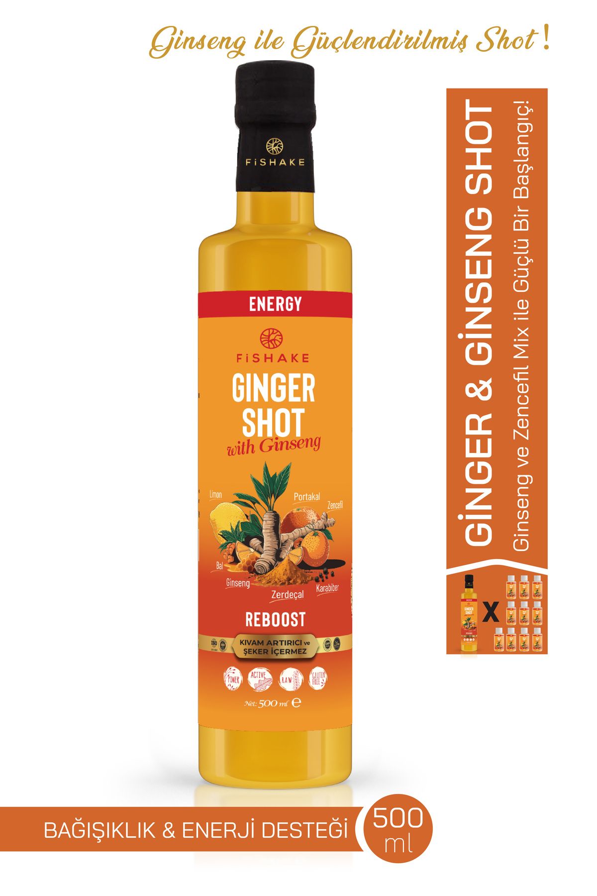 FiShake Ginger Shot & Ginsengli 500 ML