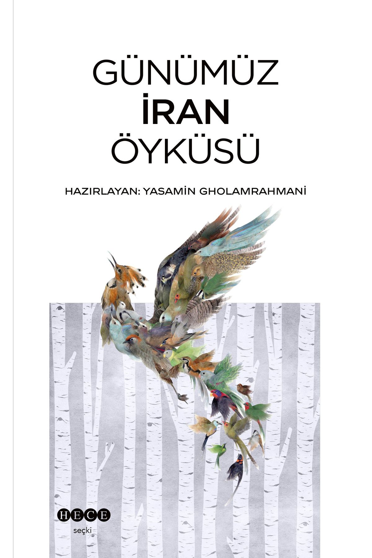 Hece Yayınları Günümüz İran Öyküsü