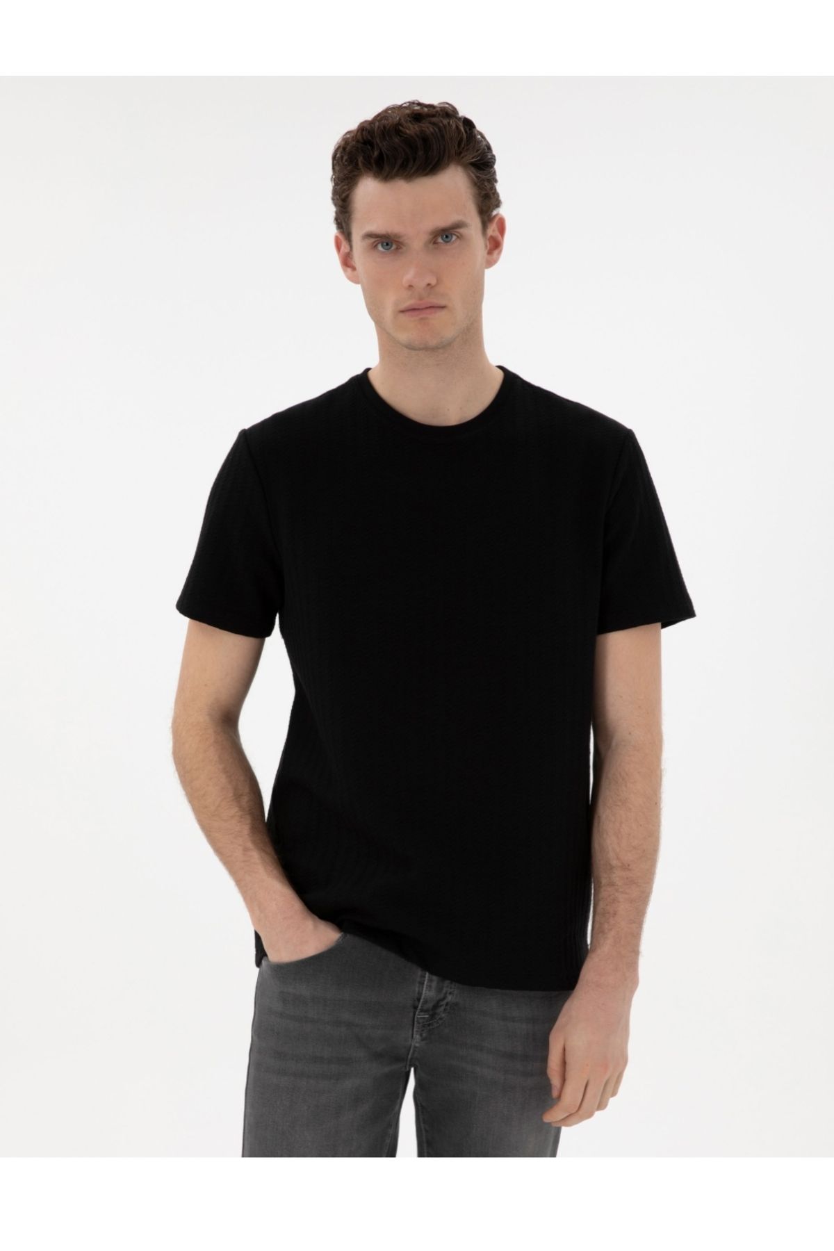 Pierre Cardin bisiklet yaka dokulu regular fit t-shirt