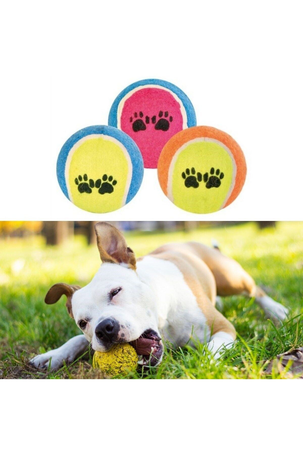 Emperium 3'lü Renkli Desenli Tenis Topu Kedi Köpek Oyuncağı (5122)