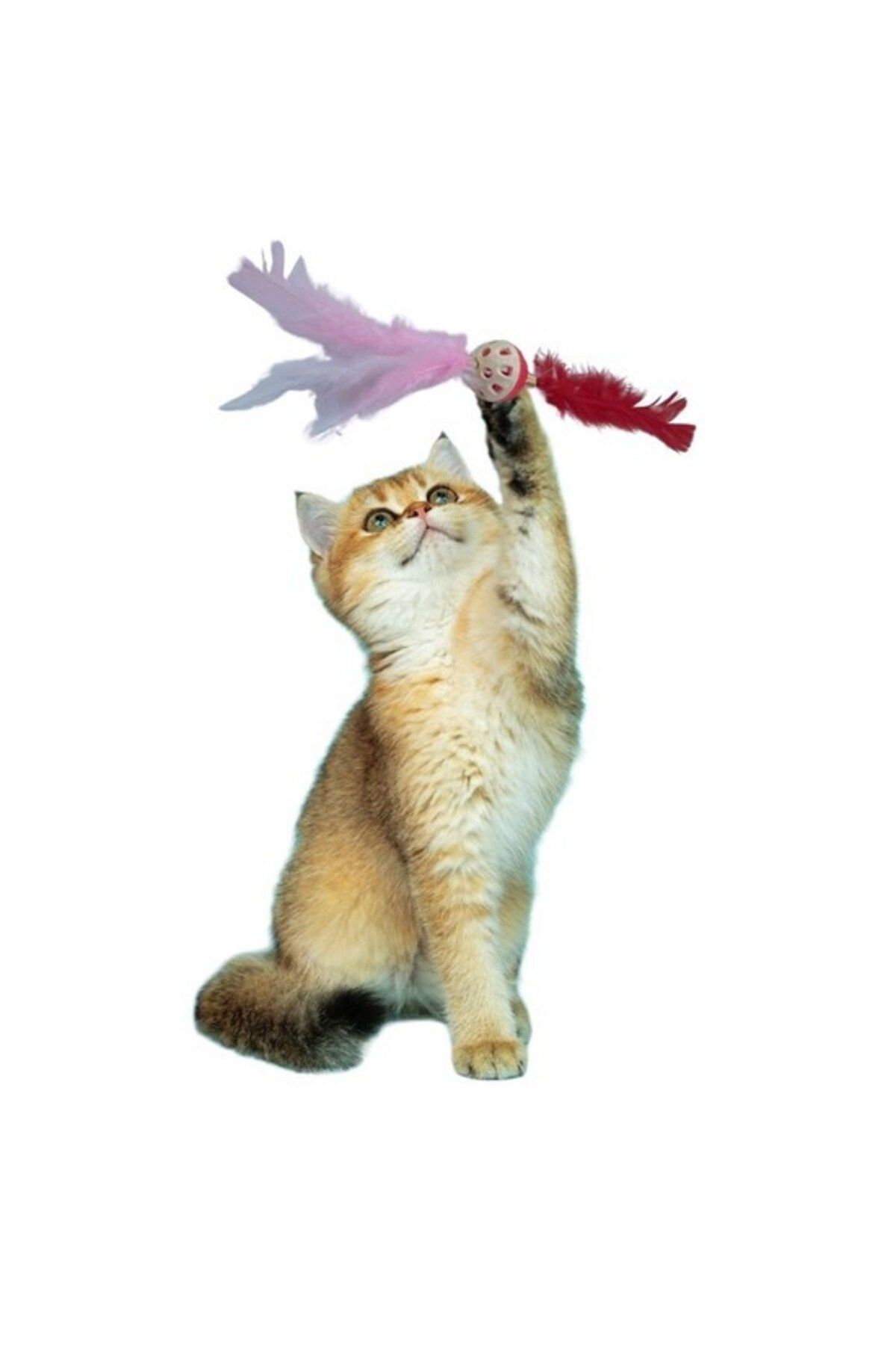 Emperium Tüylü Püsküllü Kedi Oyuncağı Dikkat Çekici Renkli Sevimli Evcil Hayvan Oyuncağı (5122)