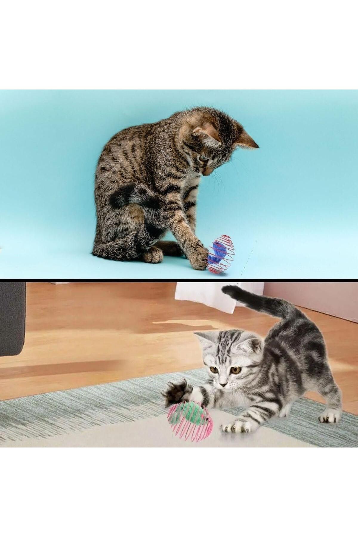 Emperium Yaylı Metal Fareli Kafes Kedi Oyun Topu Sıçrayan Spiral Kedi Topu (5122)