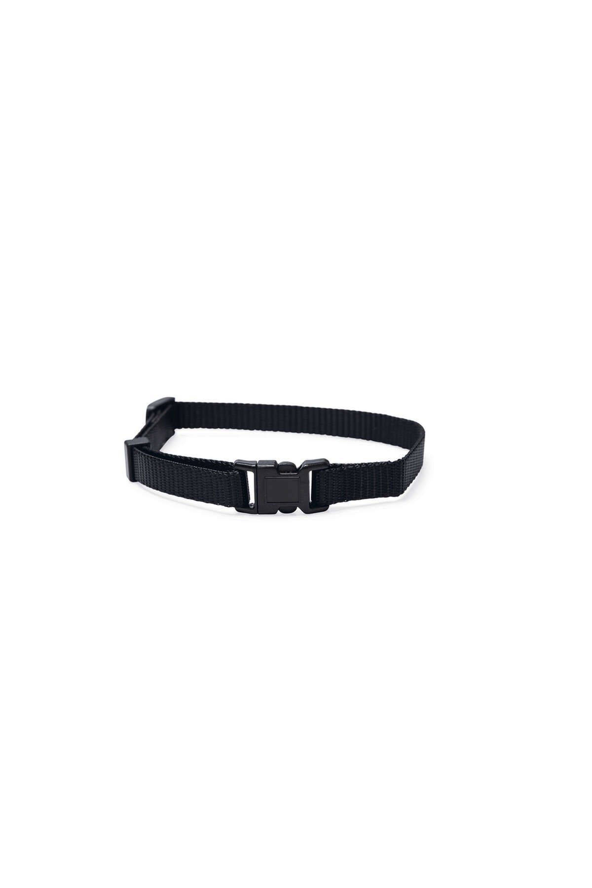 Beeztees Yavru Köpek Boyun Tasması, Çeşitli Renklerde, 22-35cm, 10mm GLSTD