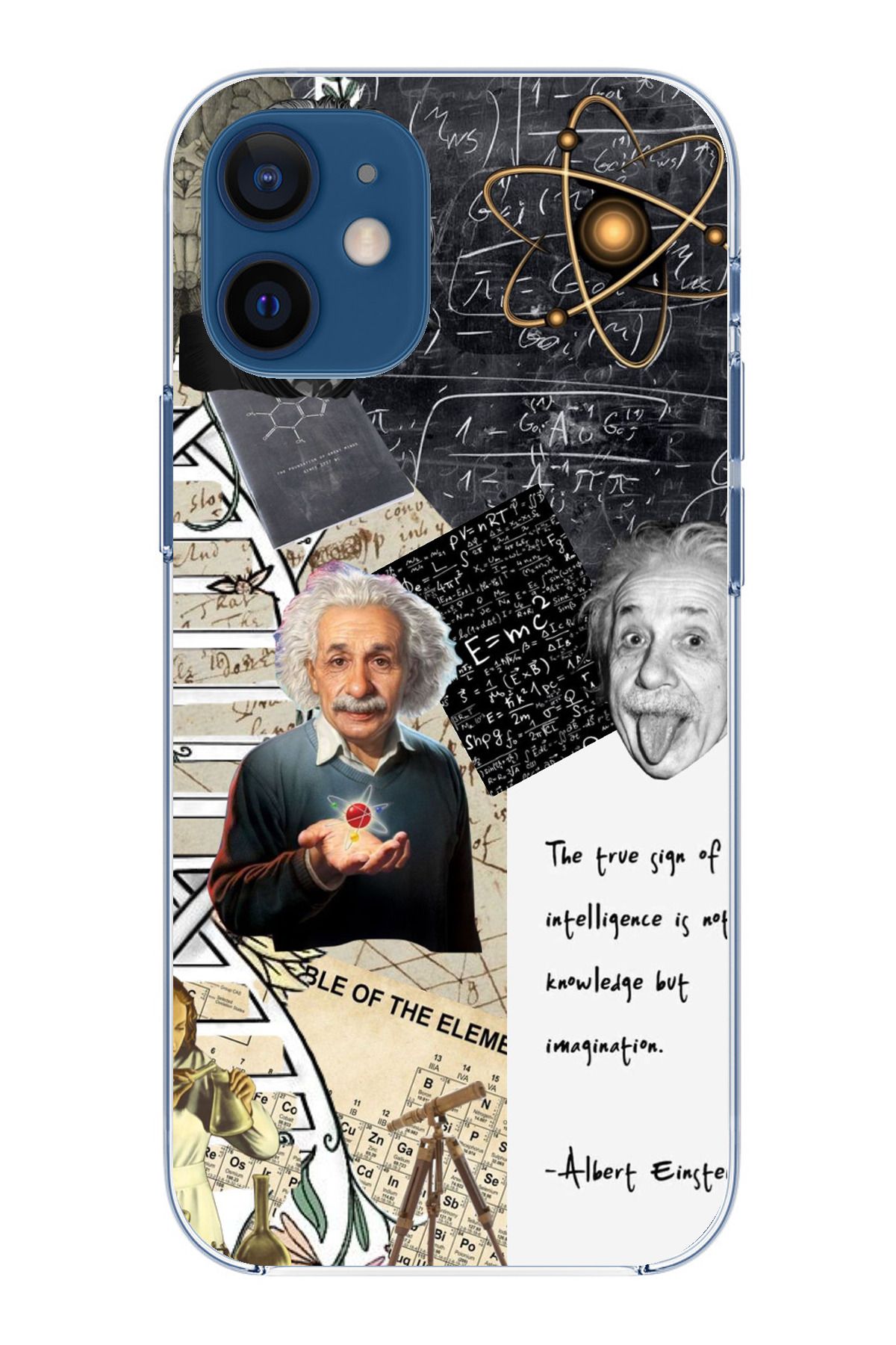 TechTree iPhone 12 Mini Uyumlu Albert Einstein Şeffaf Silikon Kılıf