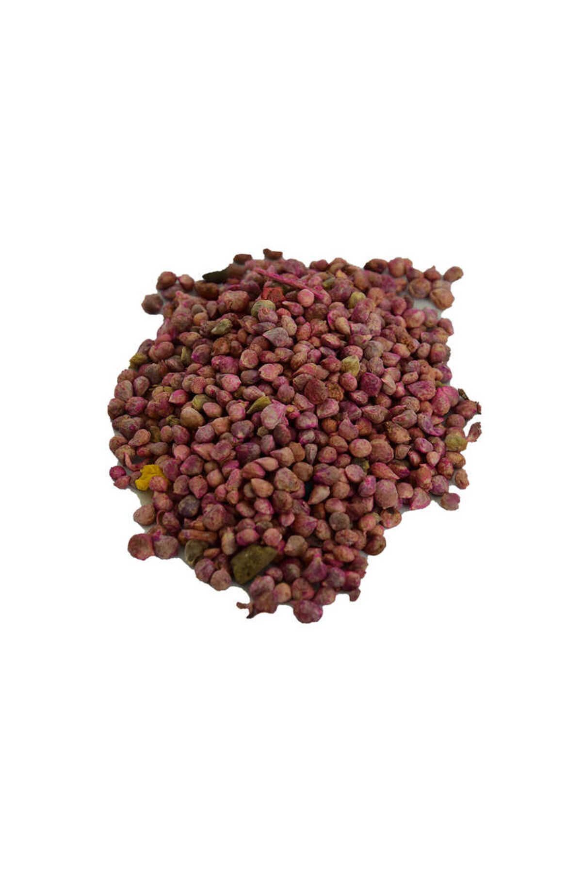 TimeStart Ispanak Tohumu (Zirai Ekim için ilaçlıdır) 100 Gr Paket