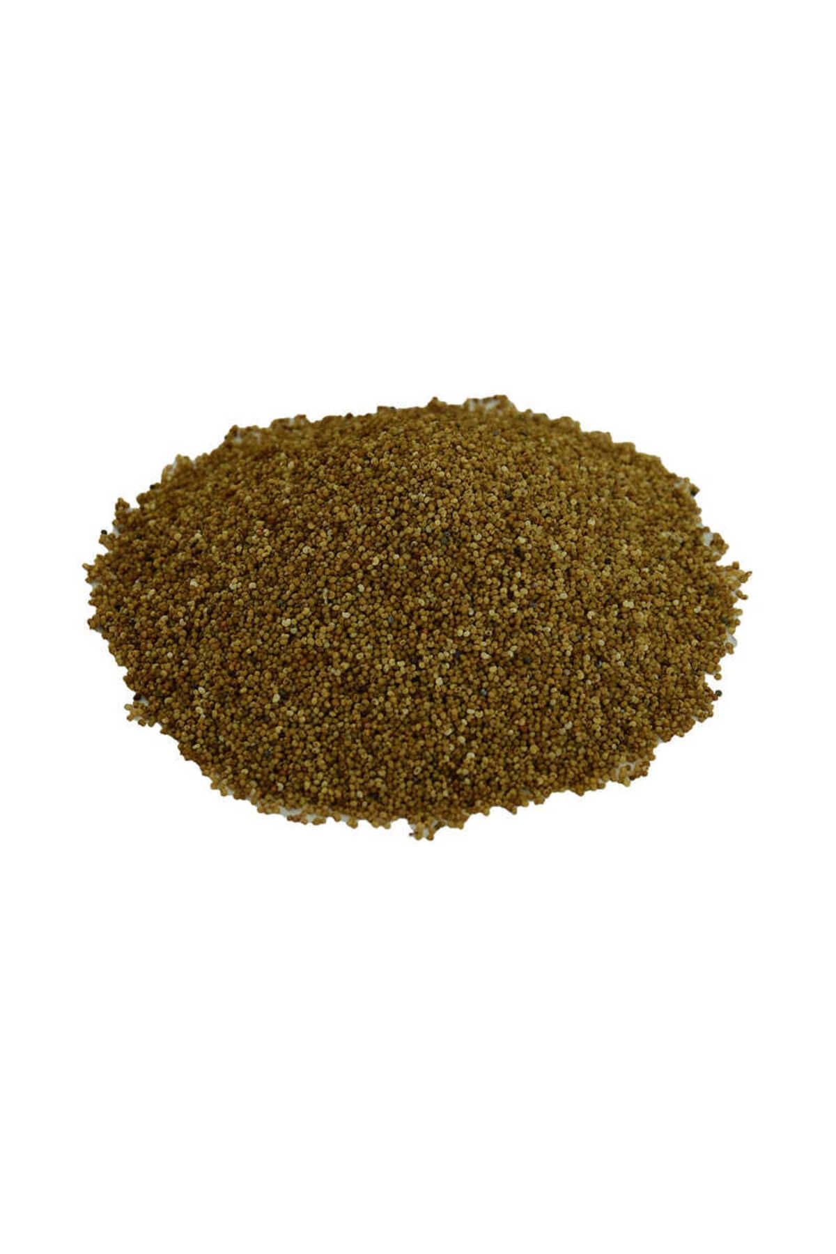 TimeStart Haşhaş Tohumu Tane Doğal Sarı 100 Gr Paket