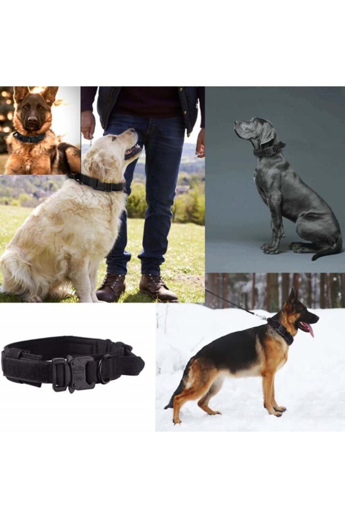 PUFO-Army collar for medium or large dogs, black, size L 4