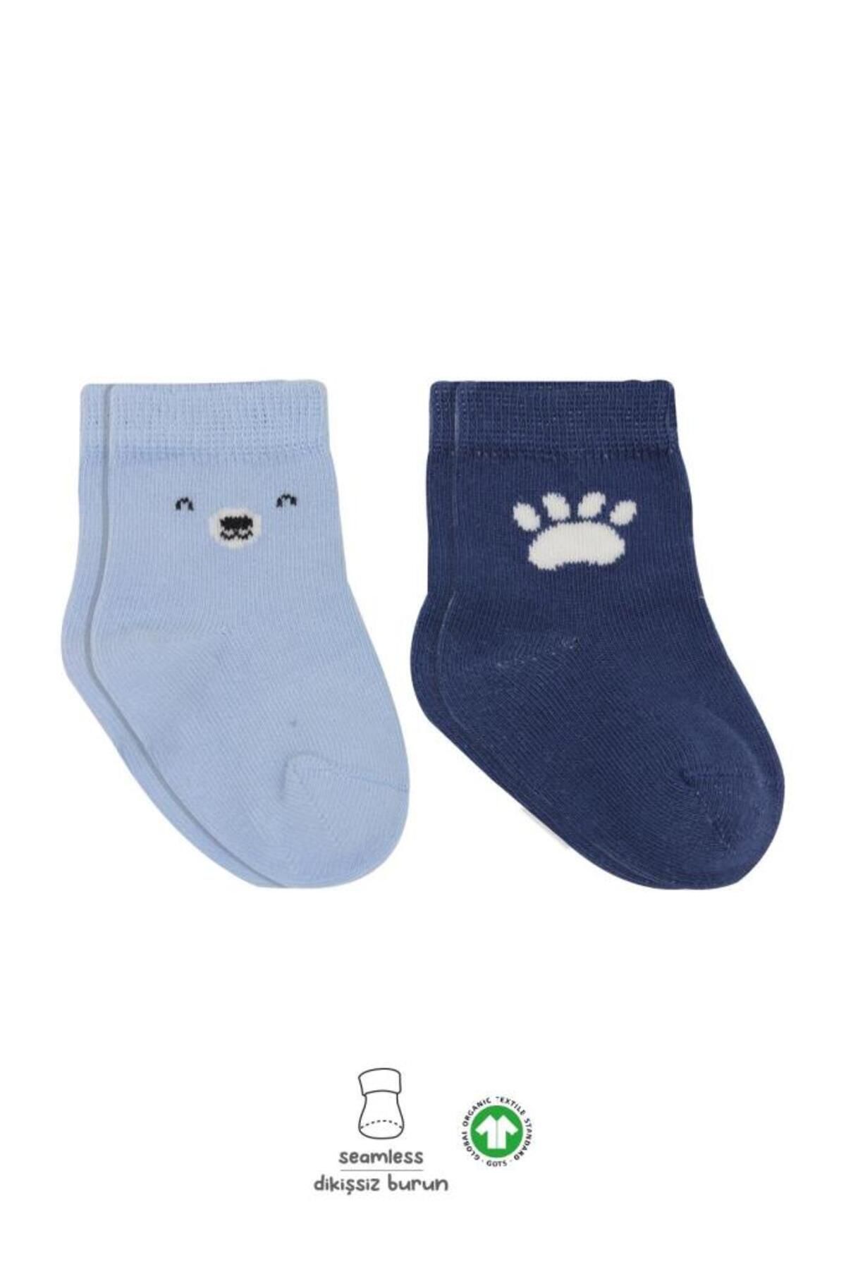 Toptan Bulurum Bistyle Bear Penye Soket Çorap 2'Li BS10116 Mavi