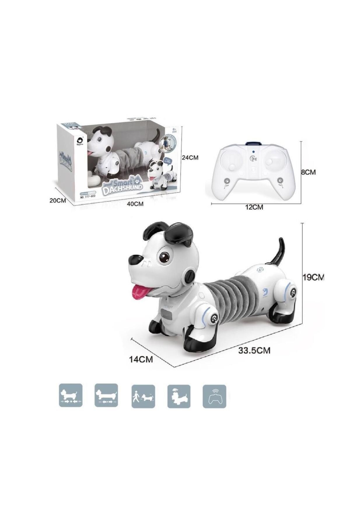 Toptan Bulurum GL-777-603 Uzaktan Kumandalı Işıklı ve Sesli Sevimli Akıllı Köpek