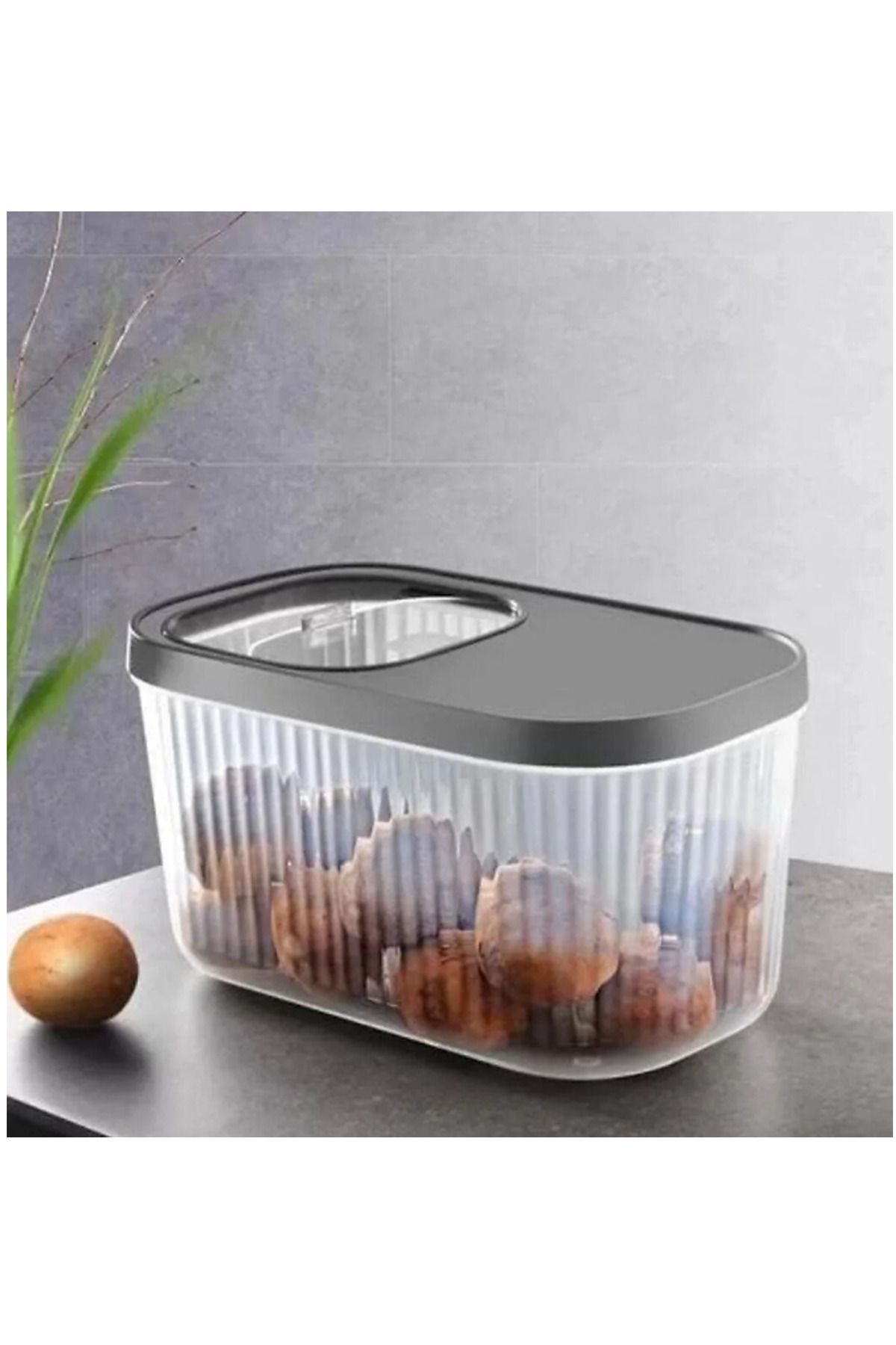 Shop58 Multi Box Kapaklı Saklama Kabı 7.5 Lt Royaleks-11565