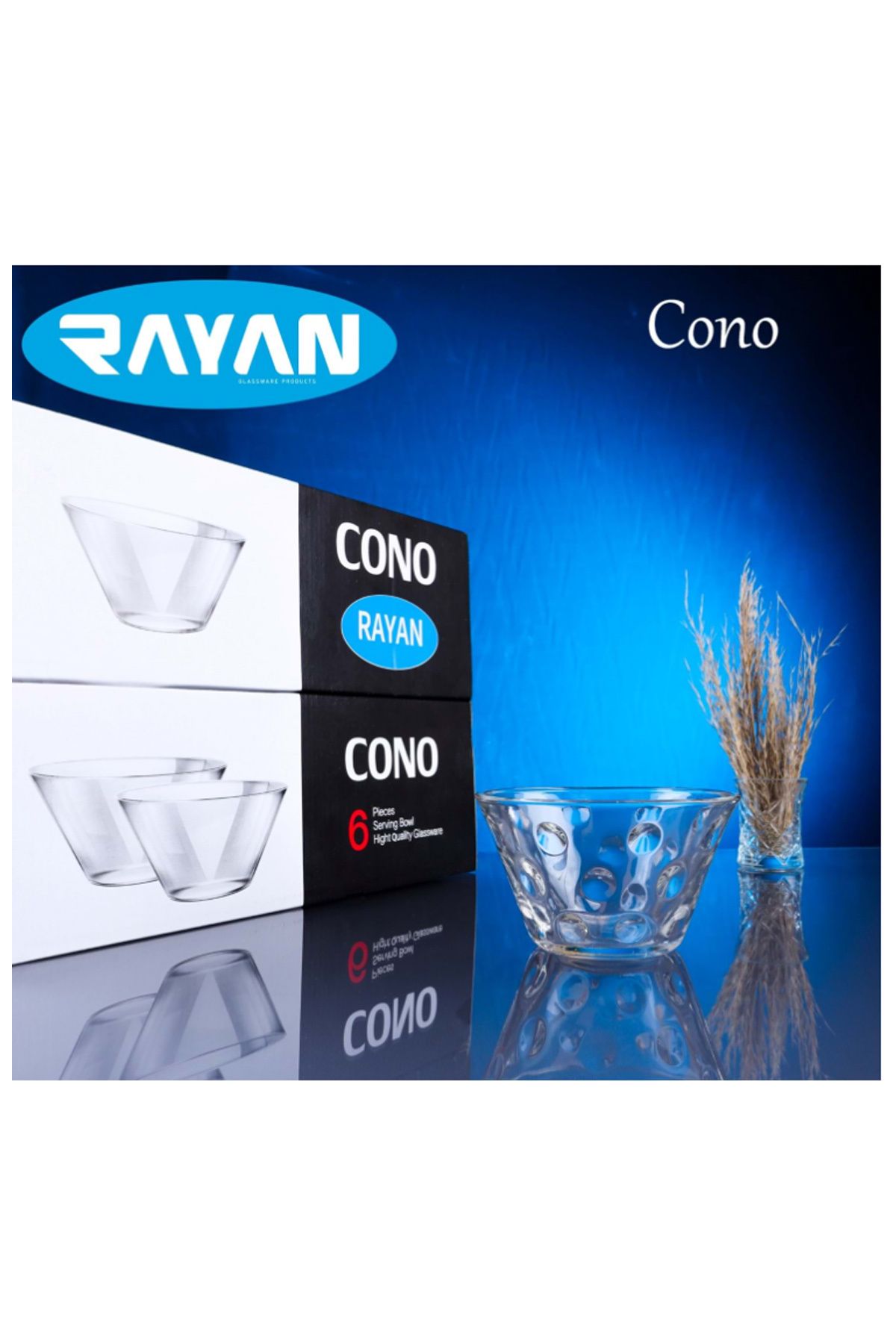 Shop58 Rayan Cono 6'lı Noktalı Cam Kase