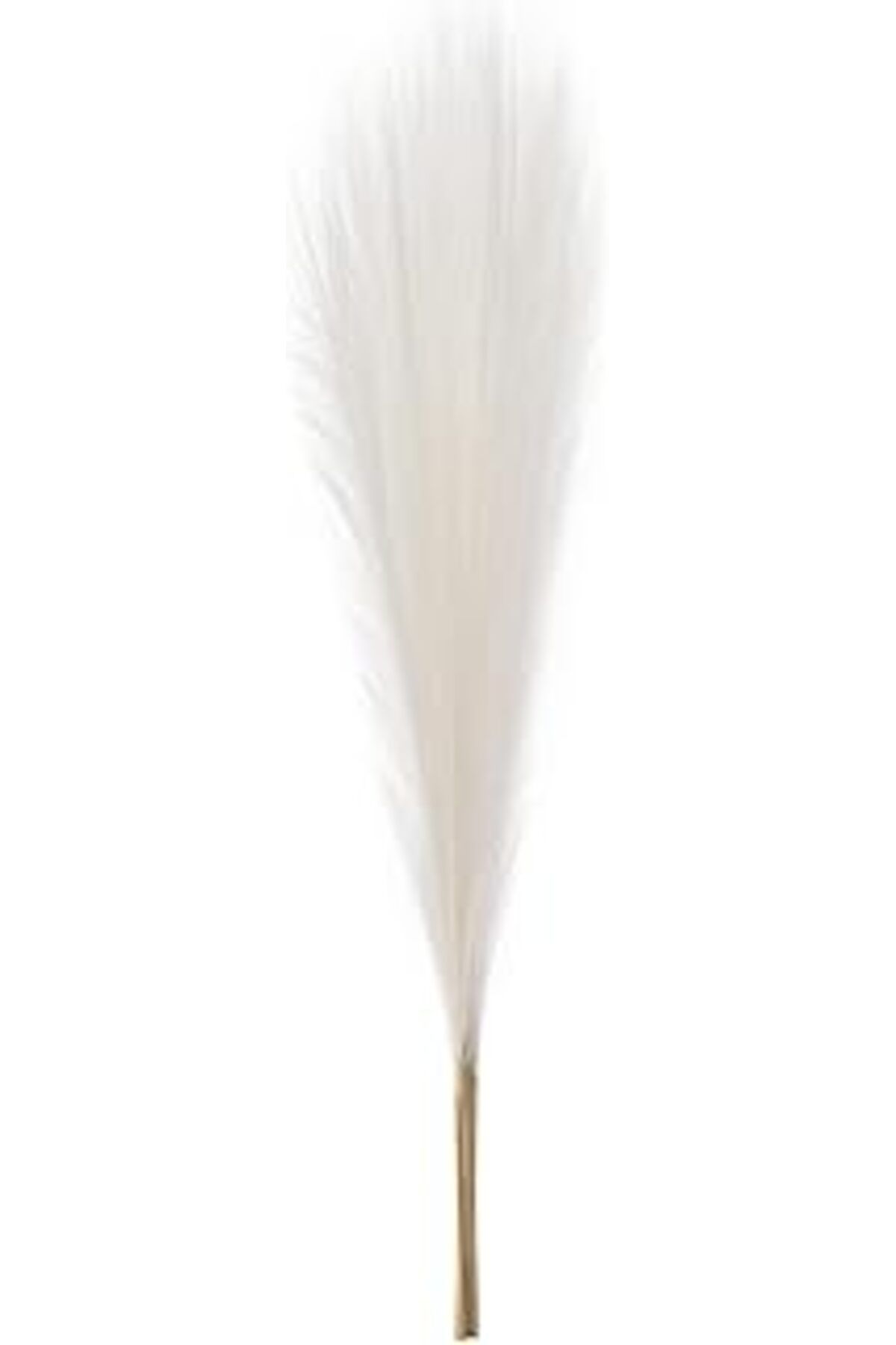 Pazarcan Herdekora Yapay Bitki Pampas Beyaz Dal 108 Cm.