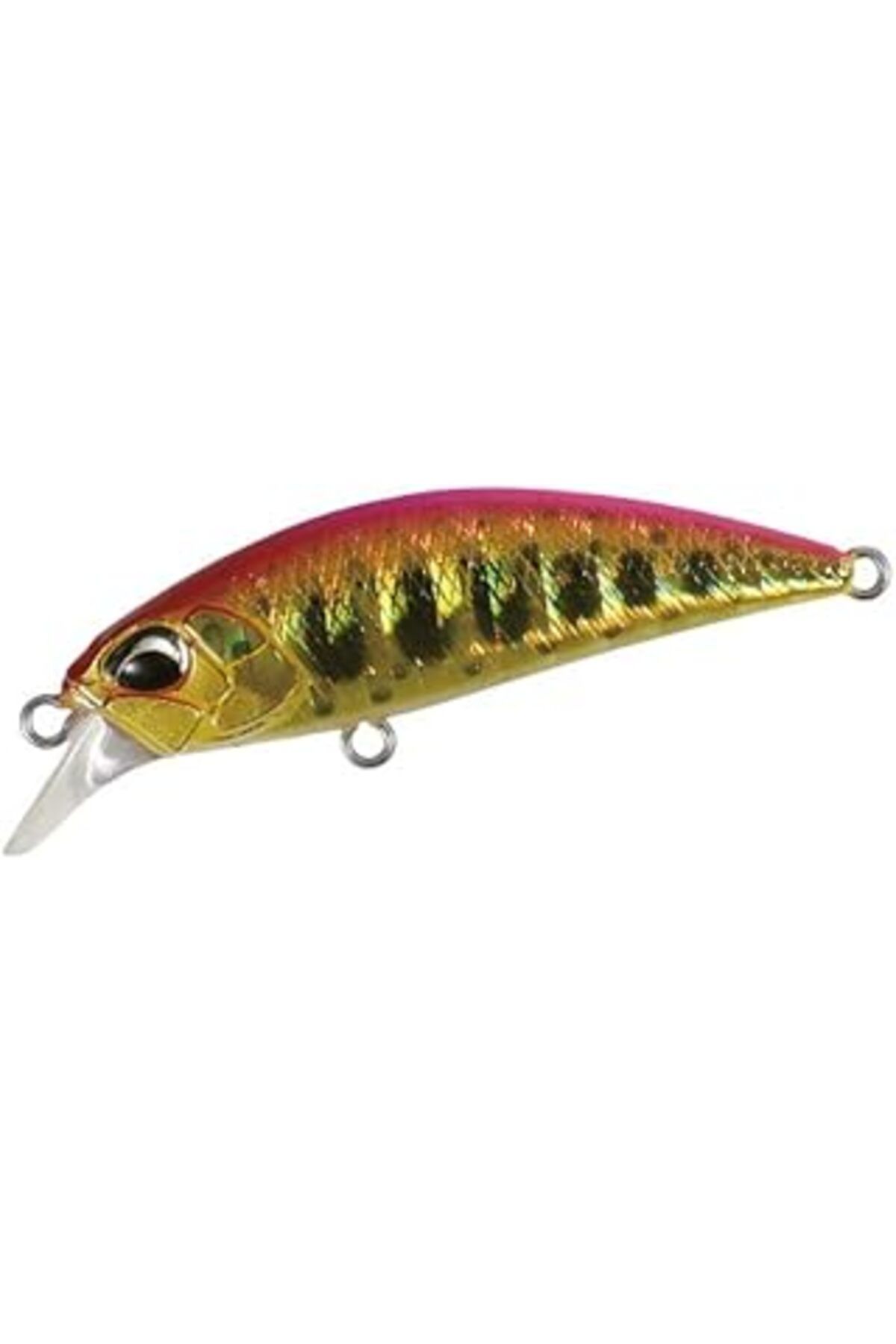 TBSProjects Duo Spearhead Ryuki 45S Aha4052 Peach Gold Yamame