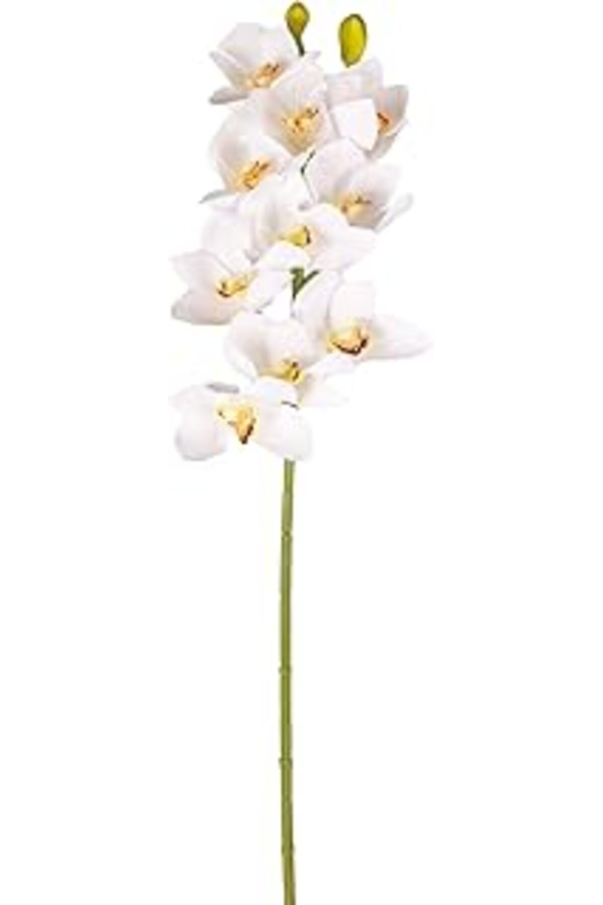 Pazarcan Herdekora Yapay Orkide Gerçek Dokunuş Beyaz-Sarı 75 Cm.
