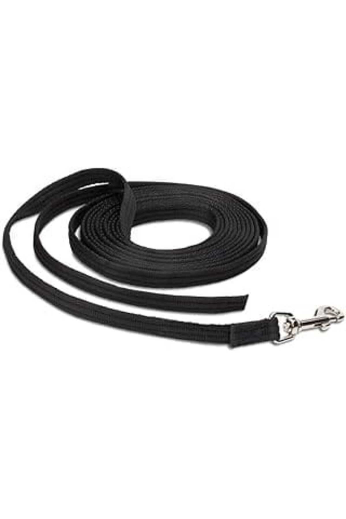 NZM TİCARET Company Of Animals Köpek Eğitim Tasması 10 M