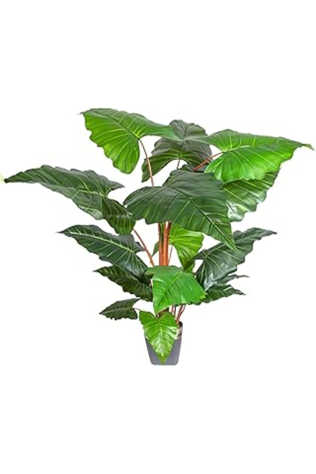 Mu Art Ahşap Herdekora Yapay Alocasia - Fil Kulağı Ağacı Gerçek Dokulu 16 Yaprak 150 Cm.