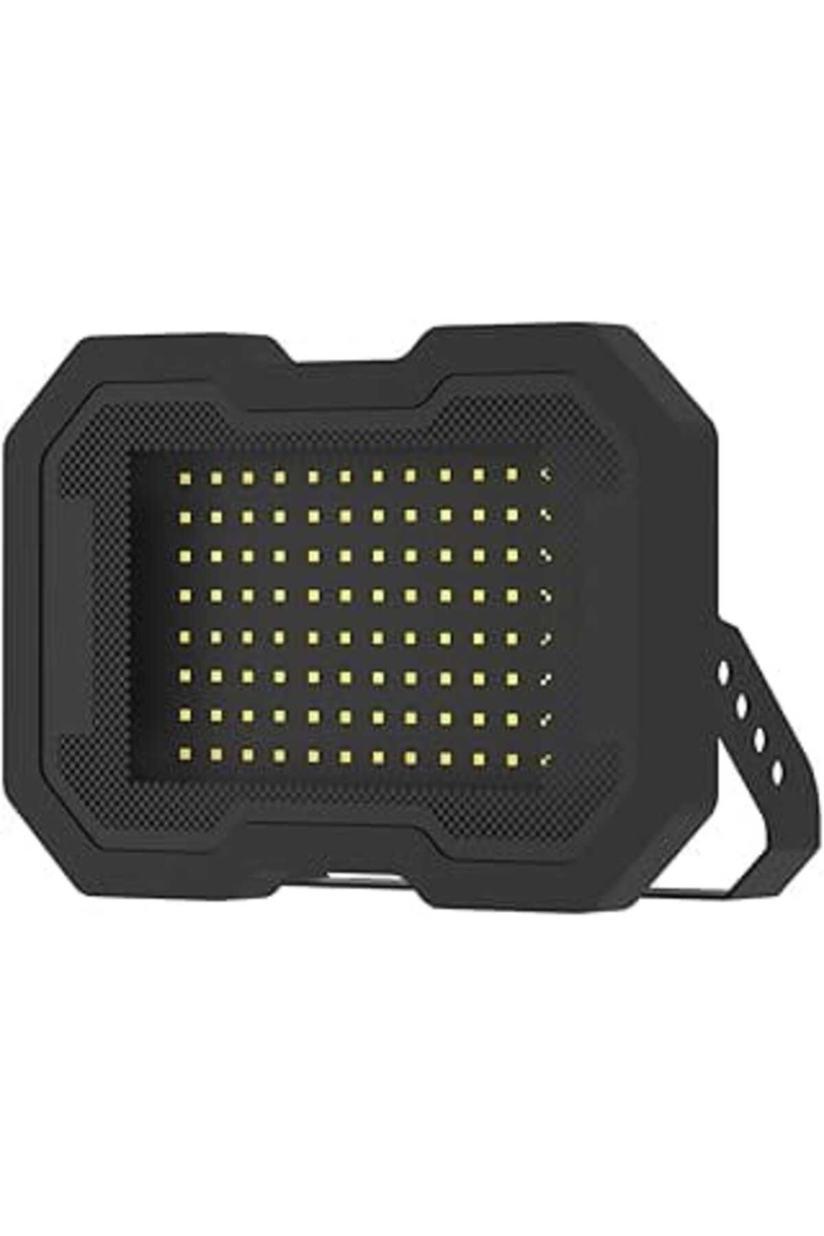 NETWORK ART Max Lighting 100W Led Projektör Ip66 (100, Vat)