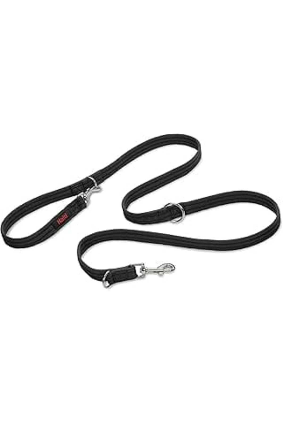 NZM TİCARET Company Of Animals Halti Köpek Eğitim Kayışı, Büyük Boy Siyah, 2 M