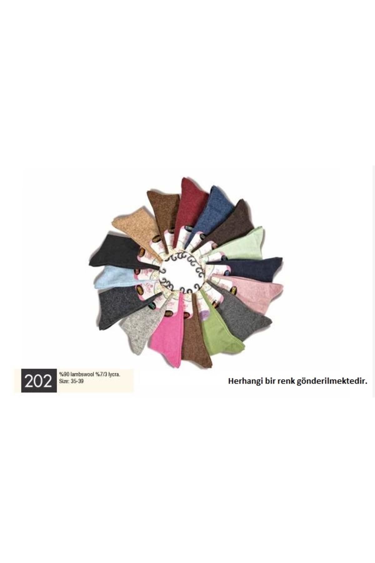 Shop58 Gama 202 Kadın Düz Model Yün Soket Çorap