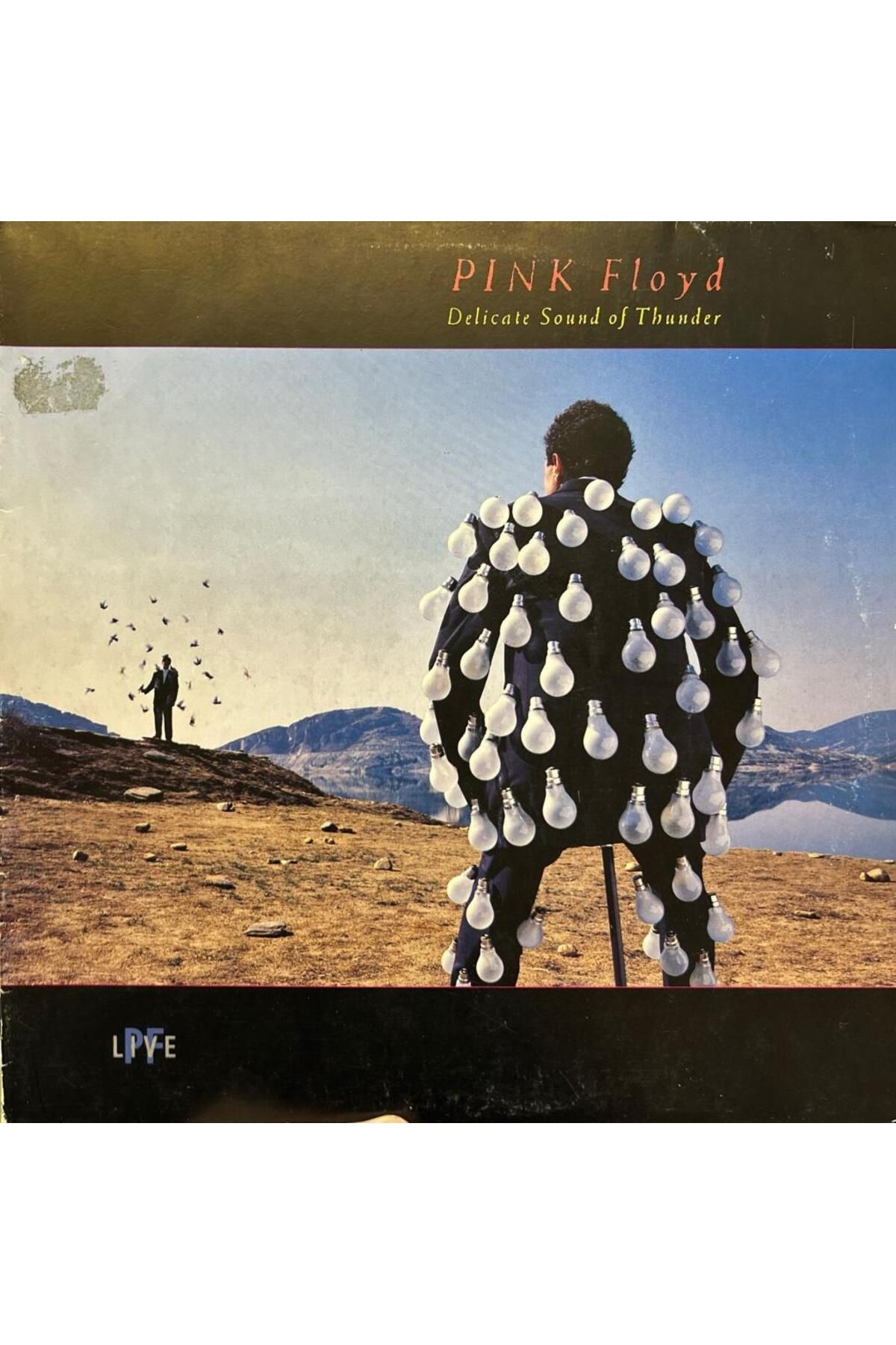 Kadıköy Plak Kulübü Pink Floyd – Delicate Sound Of Thunder 1988 BASKI ÇİFT PLAK LP