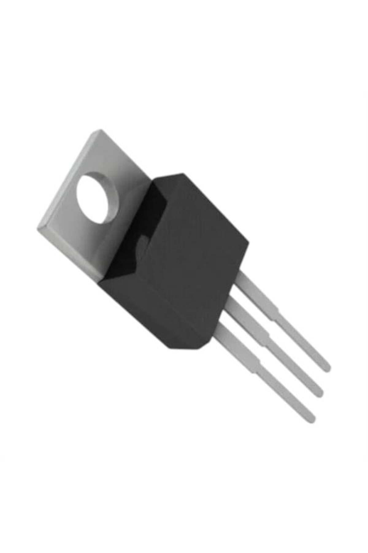 feifei 2Sd 1196