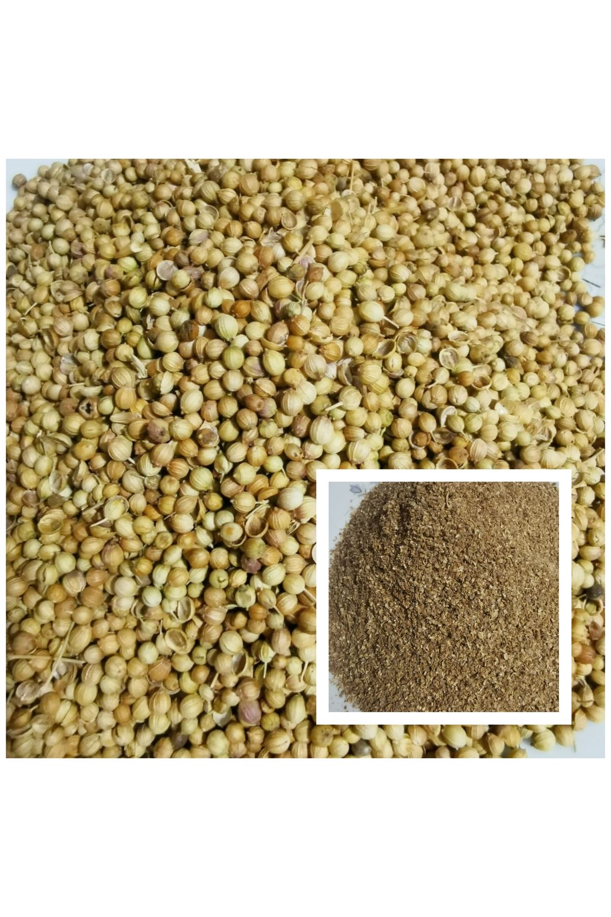 Asi Yöresel Ürünler KİŞNİŞ TOHUMU 150 GR