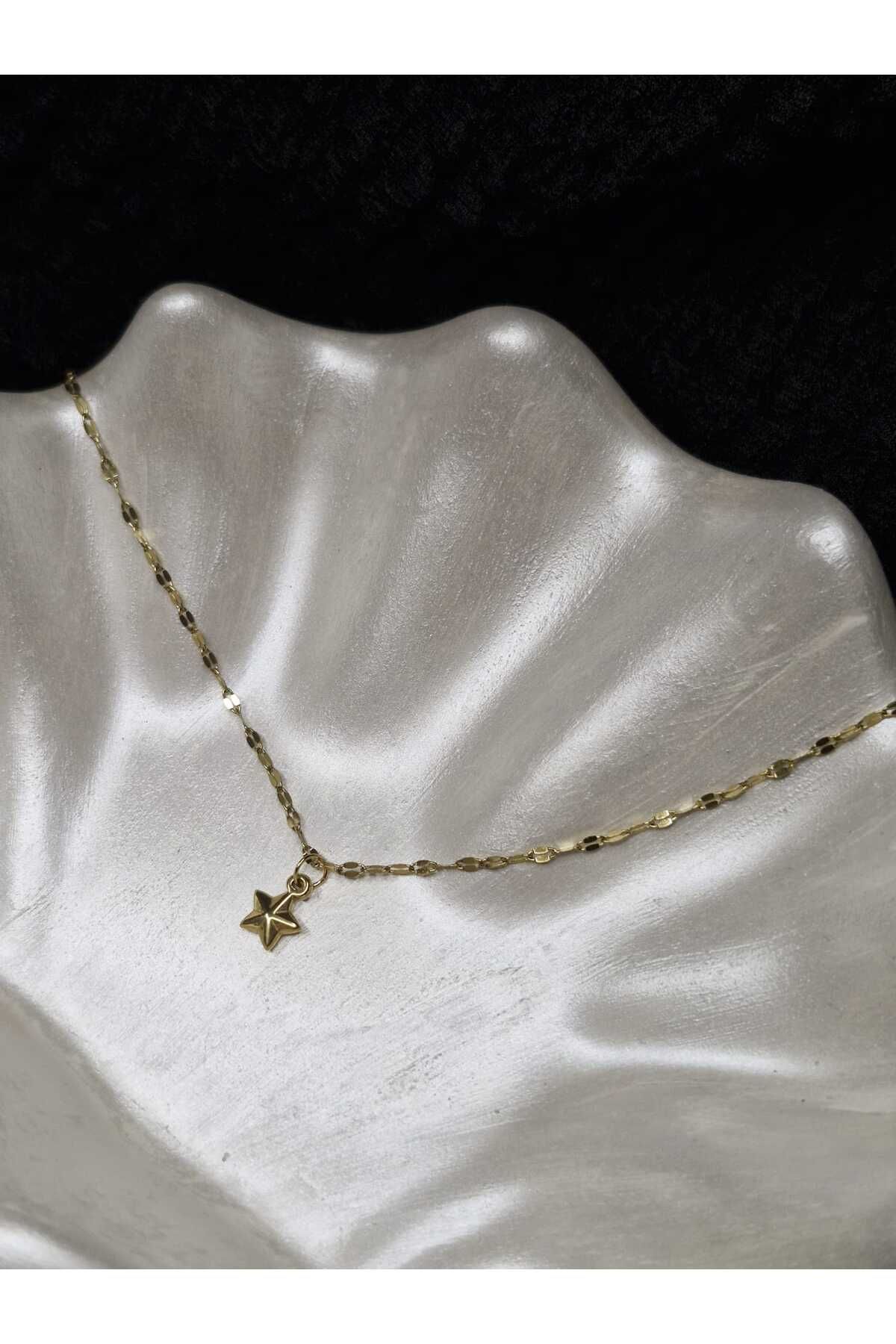 Palk Store Çelik Minik Yıldız Minimal Kolye Gold