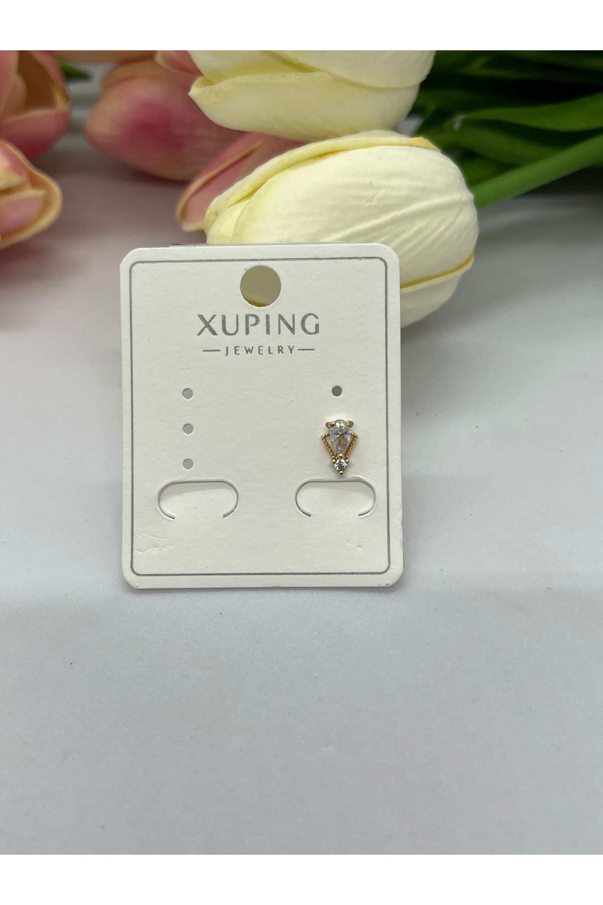 staınless steel TRAGUS KÜPE