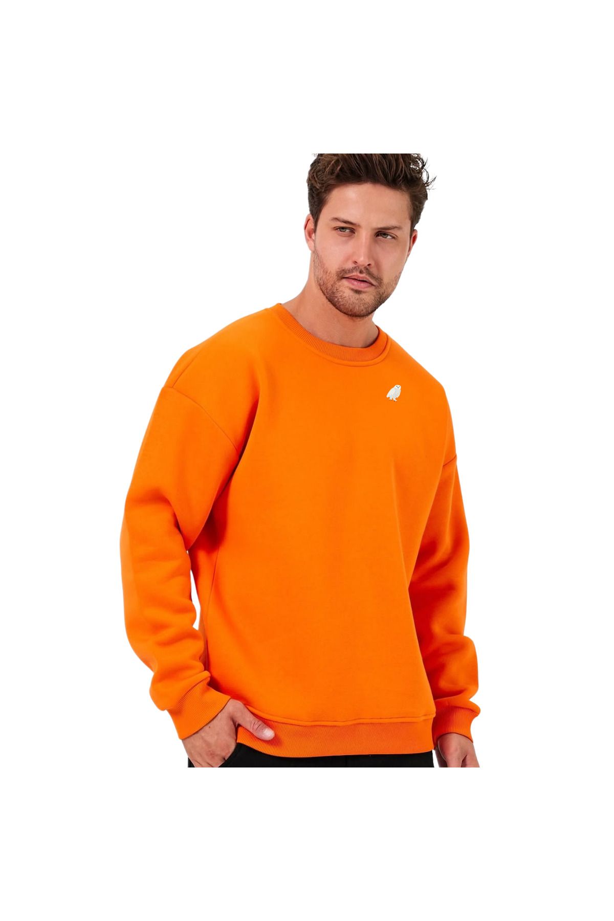 ChapellaSocks Kar Baykuşu Desen Nakışlı Unisex Sweatshirt- %100 Pamuk ve Rahat!