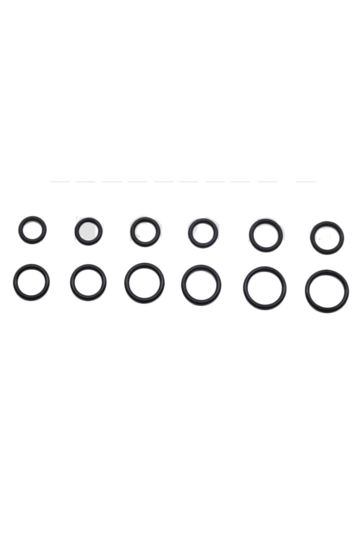 YATE10 45 Adet Kauçuk O-ring Conta Takımı Kilitli Poşetli