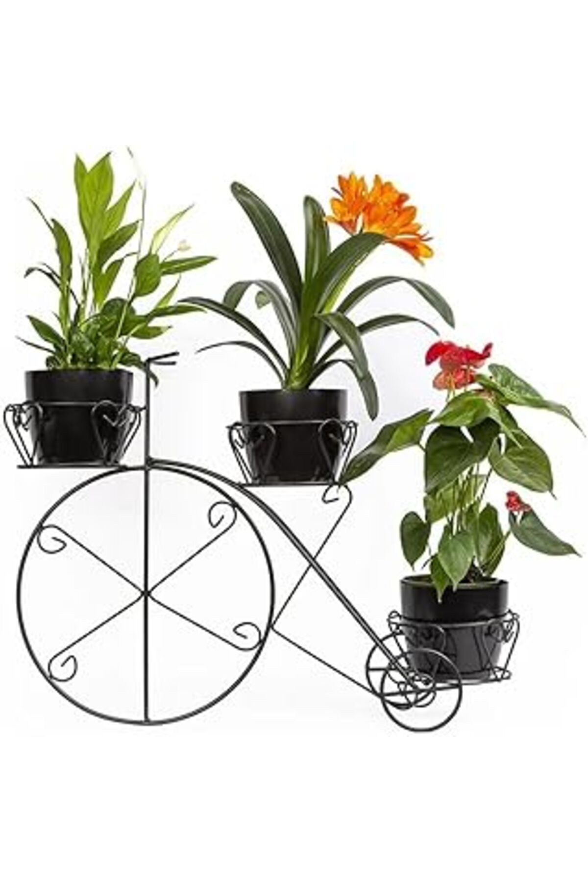 Mu Art Nekuba 3'Lü Siyah Ferforje Bisiklet Saksı 65 Cm