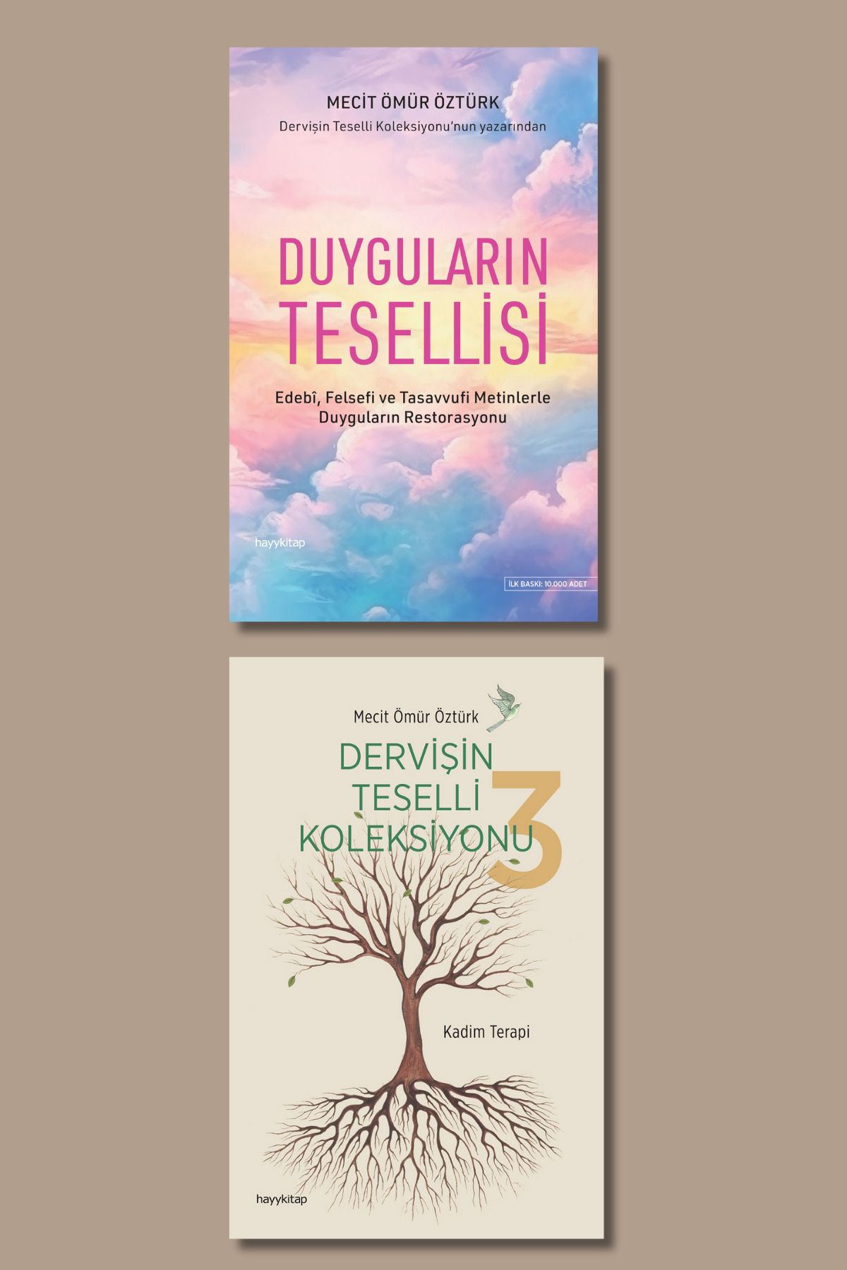 hayykitap MECİT ÖMÜR ÖZTÜRK 2 Lİ SET / DERVİŞİN TESELLİ KOLEKSİYONU 3 - DUYGULARIN TESELLİSİ