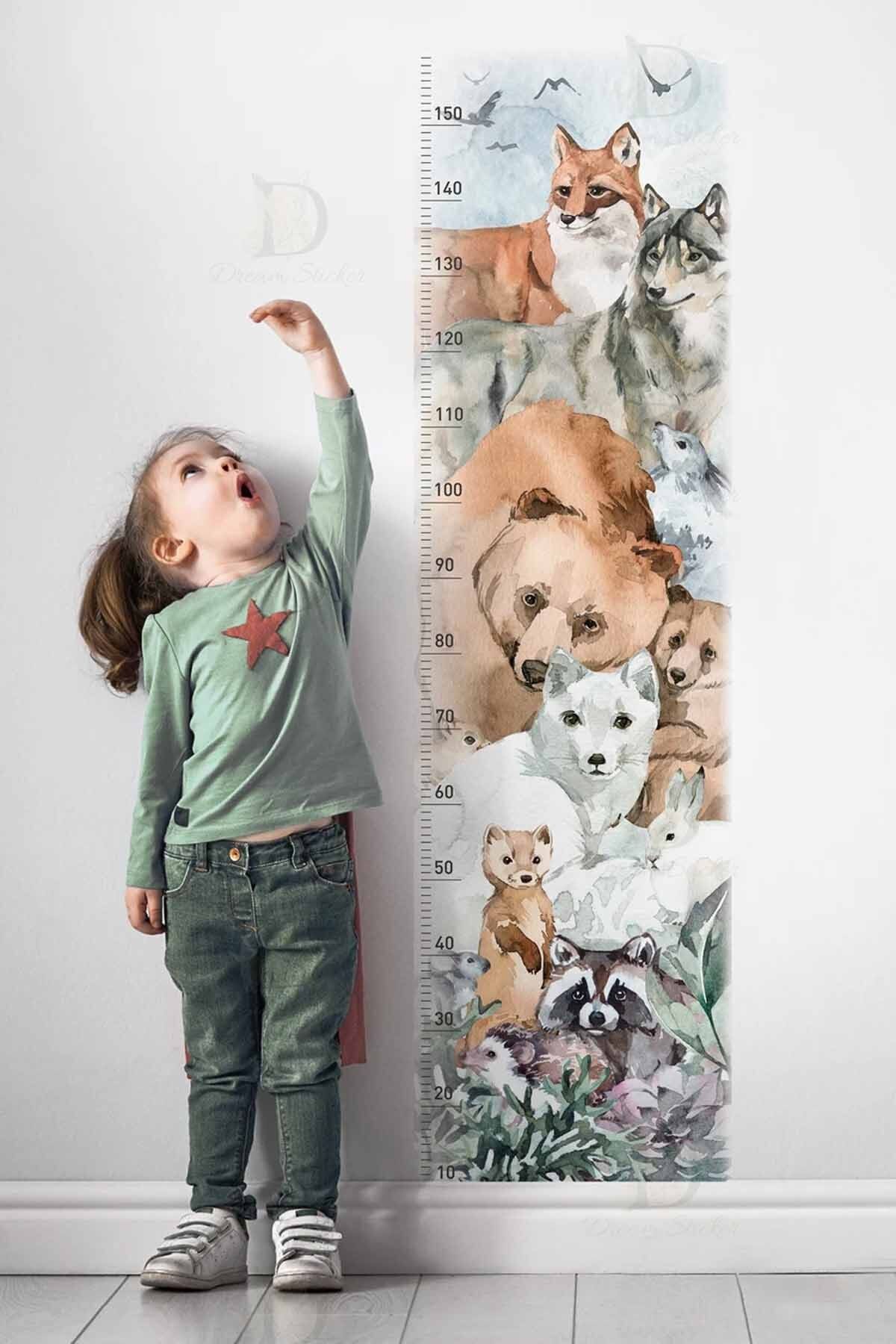 KT Decor Orman Arkadaşları Muhteşem Hayvanlar Woodland Boy Ölçer Duvar Sticker