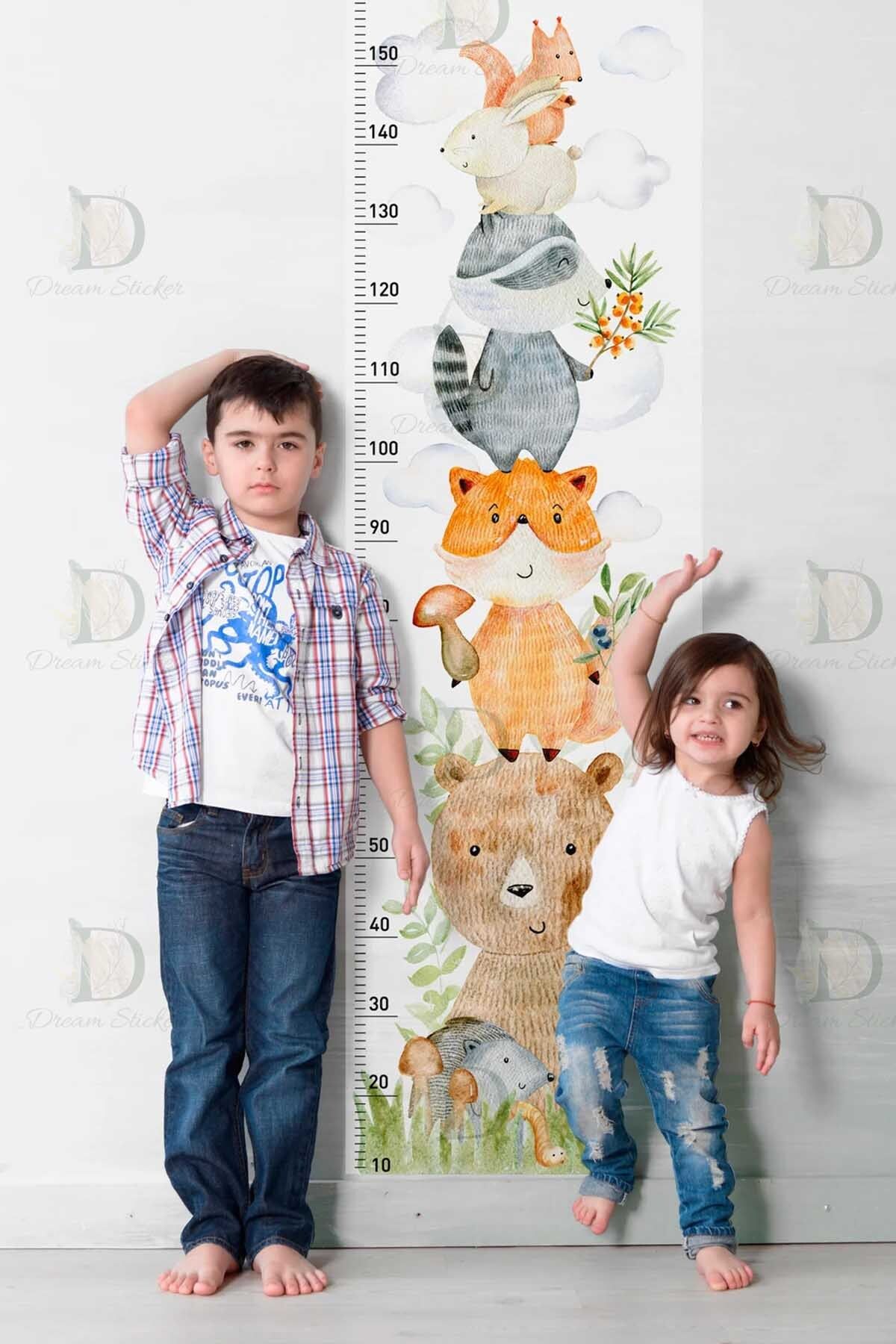 KT Decor Orman Arkadaşları Muhteşem Hayvanlar Woodland Boy Ölçer Duvar Sticker