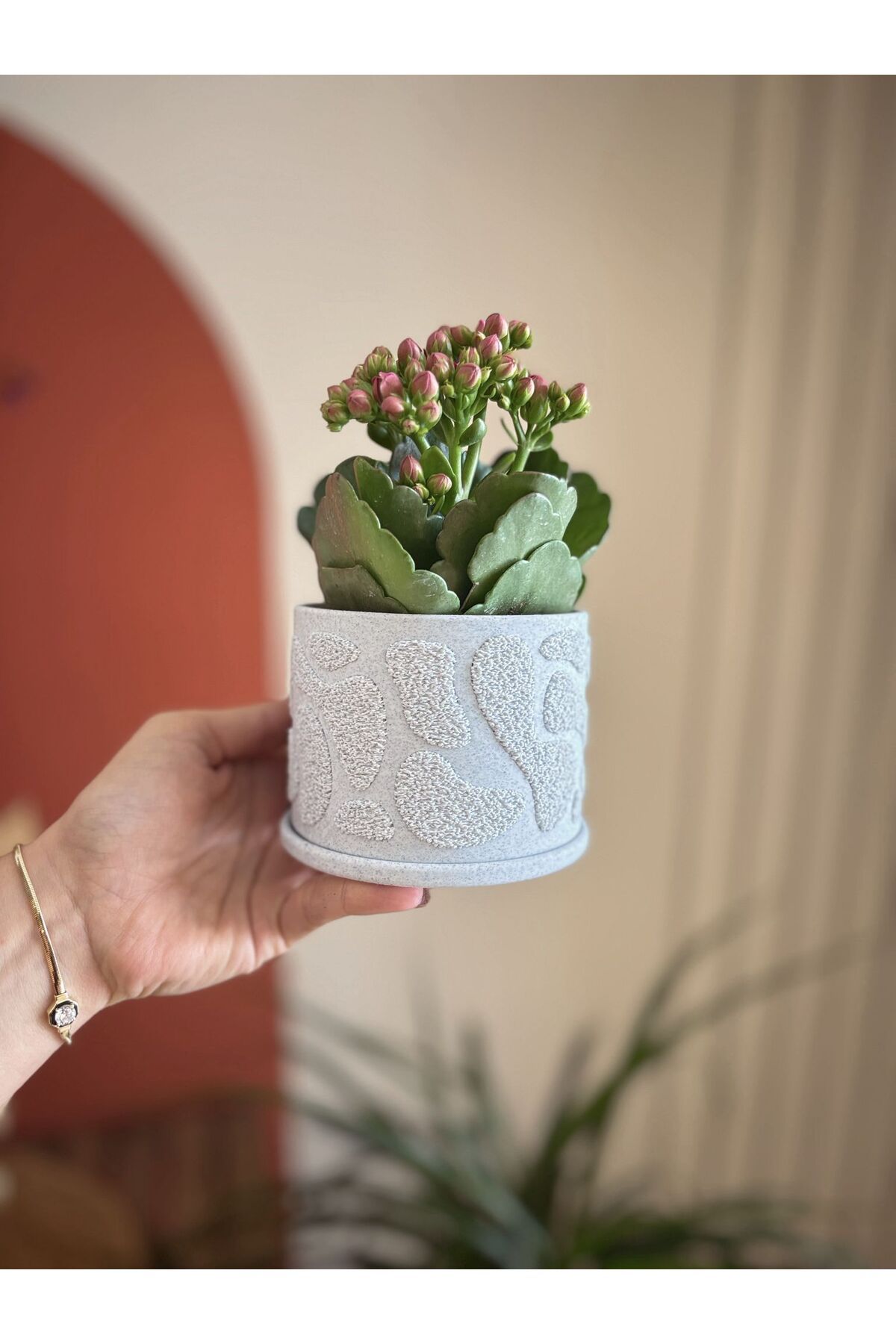 3DekorPusula Dekoratif Sukulent Saksısı - 7cm çapında /6.5 cm yükseklik (Bitki dahil değildir.)