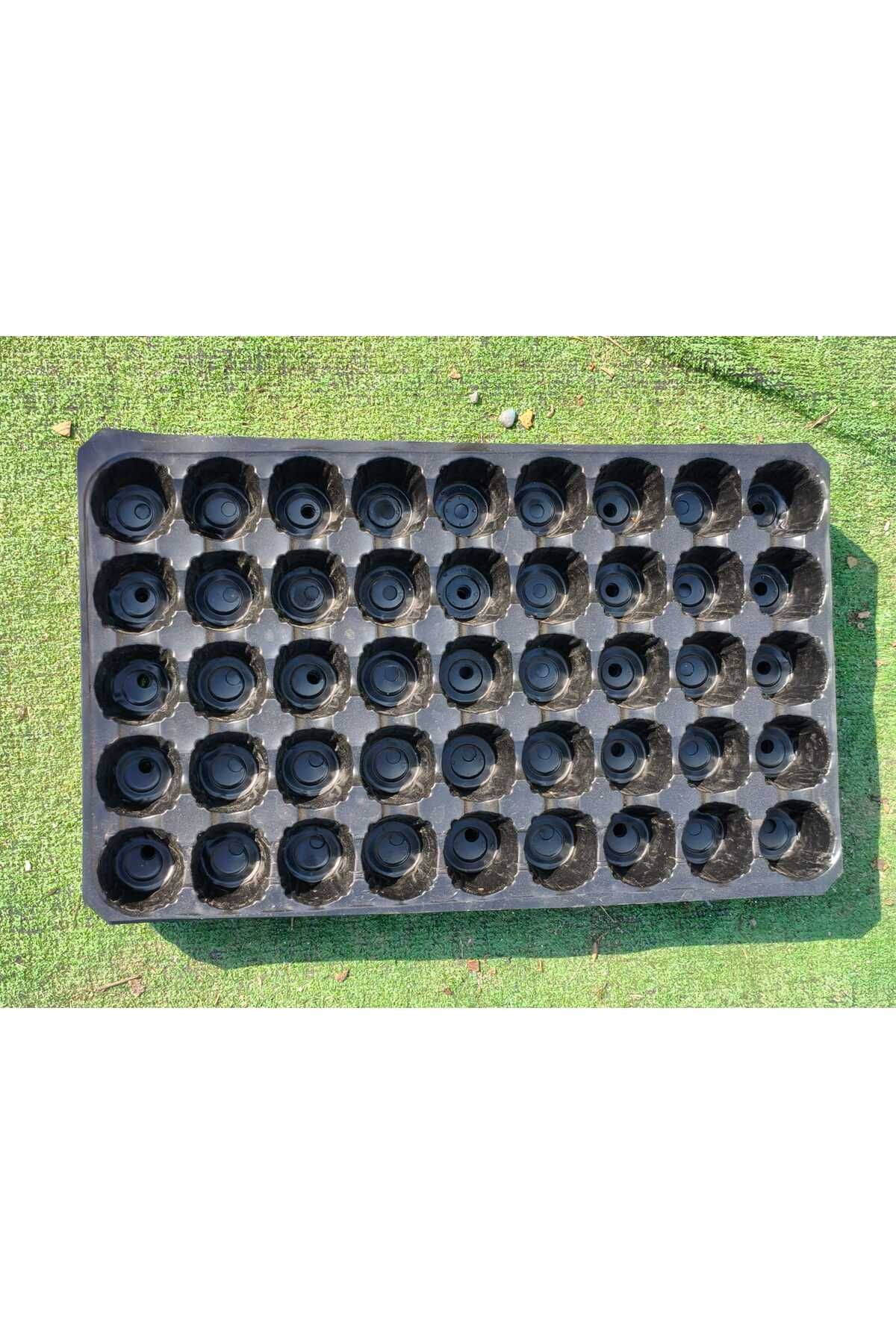 Bay Plast Fide Viyolü 45 Göz 2 Adet Fide Viyol Fide Viyolleri Fide Yetiştirme Kabı Tohum Ekim Kabı Fidelik