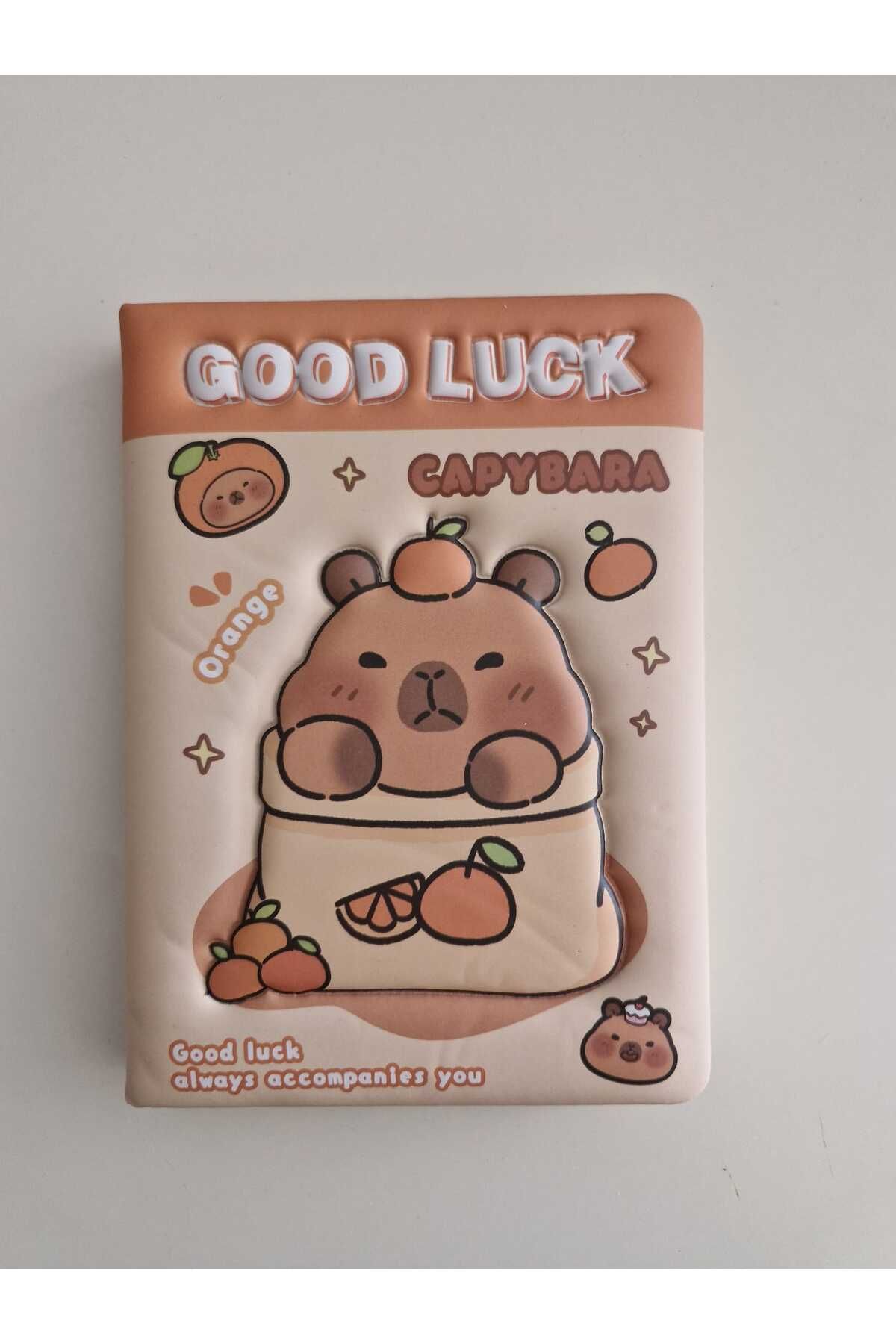 ETİKETİM Capybara Temalı Good Luck 3D Çizgili Defter 96 YP