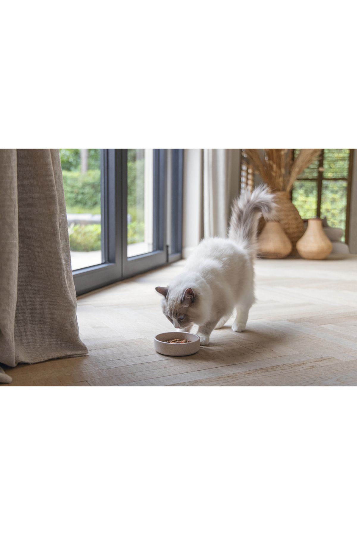 Beeztees DBL Kedi Mama Su Kabı, Bambu, Bej 12cm, 250ml