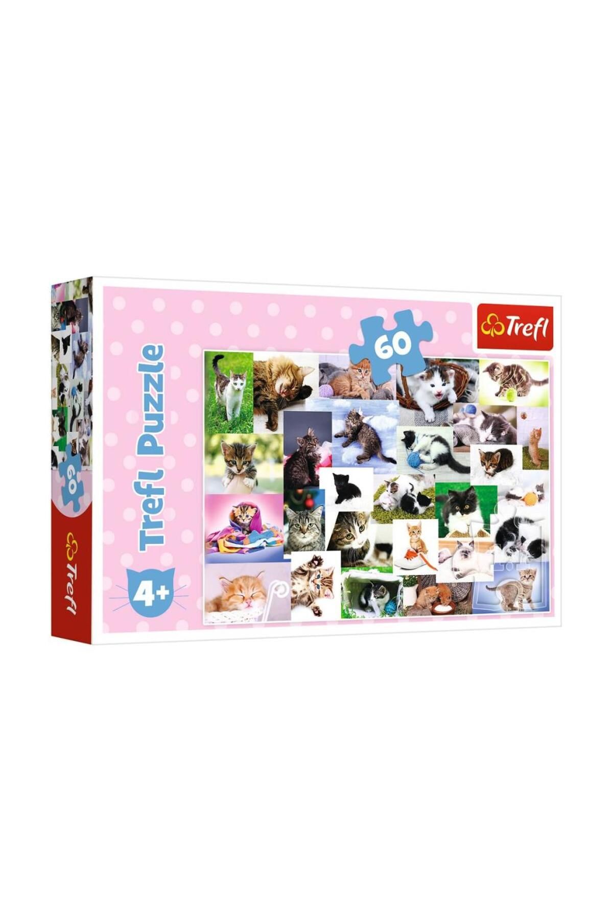 NessiWorld 17332 Kedi Dünyası 60 Parça Puzzle -Trefl Puzzle