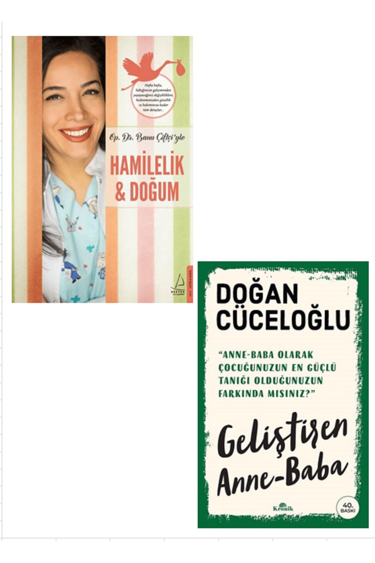Destek Yayınları Hamilelik ve Doğum (Ciltli) + Geliştiren Anne - Baba / 2 Kitap Set