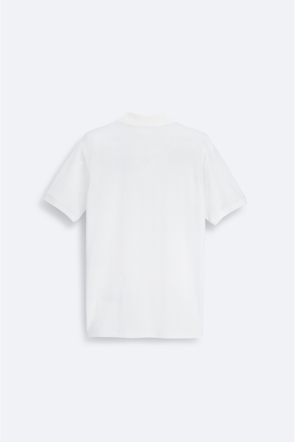 Avva-Men's Ecru Apaj Collar Jacquard T-Shirt A41Y1068 2
