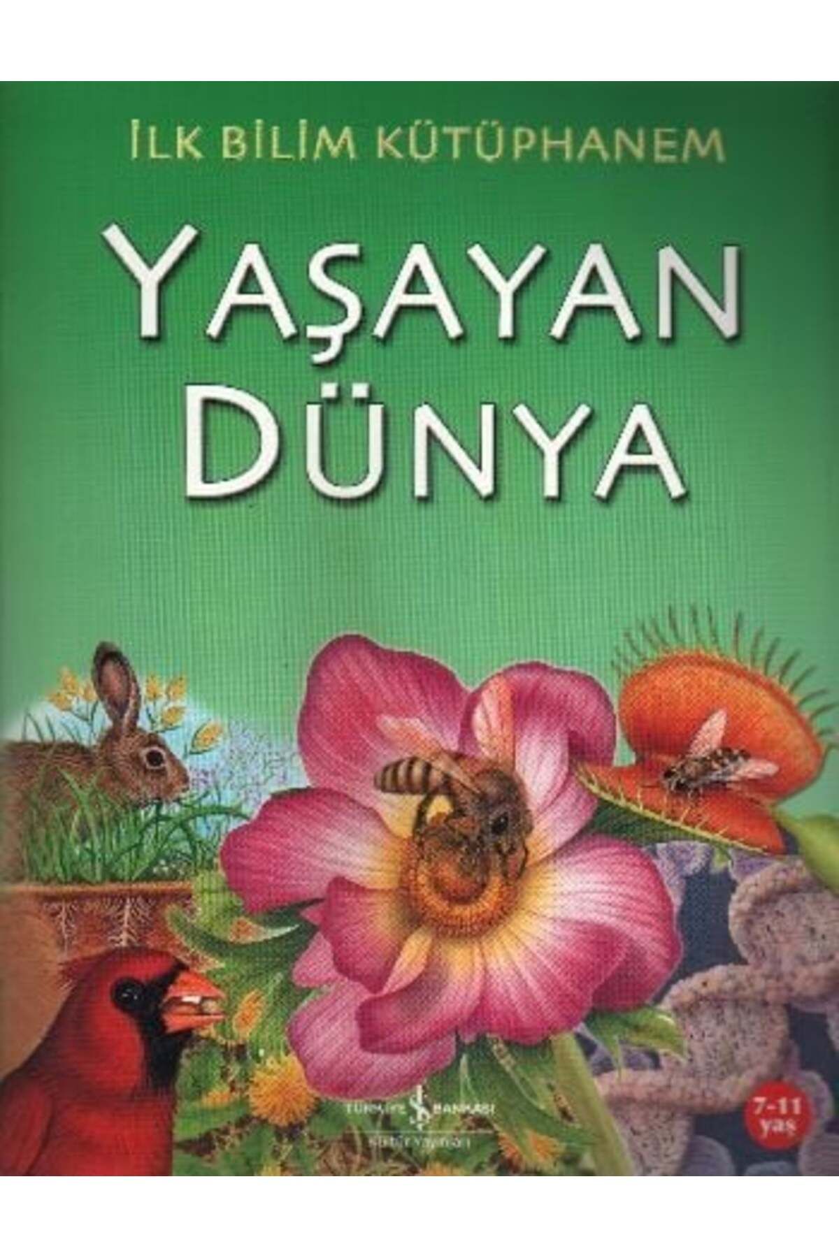 Destek Yayınları İlk Bilim Kütüphanem Yaşayan Dünya