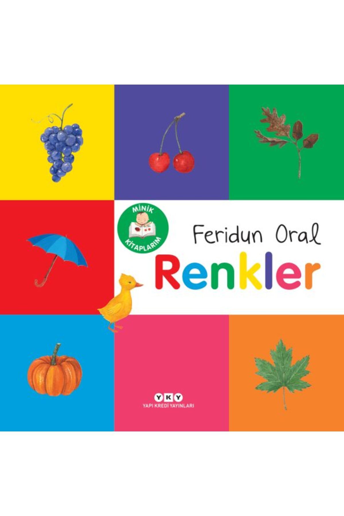 Destek Yayınları Minik Kitaplarım Renkler