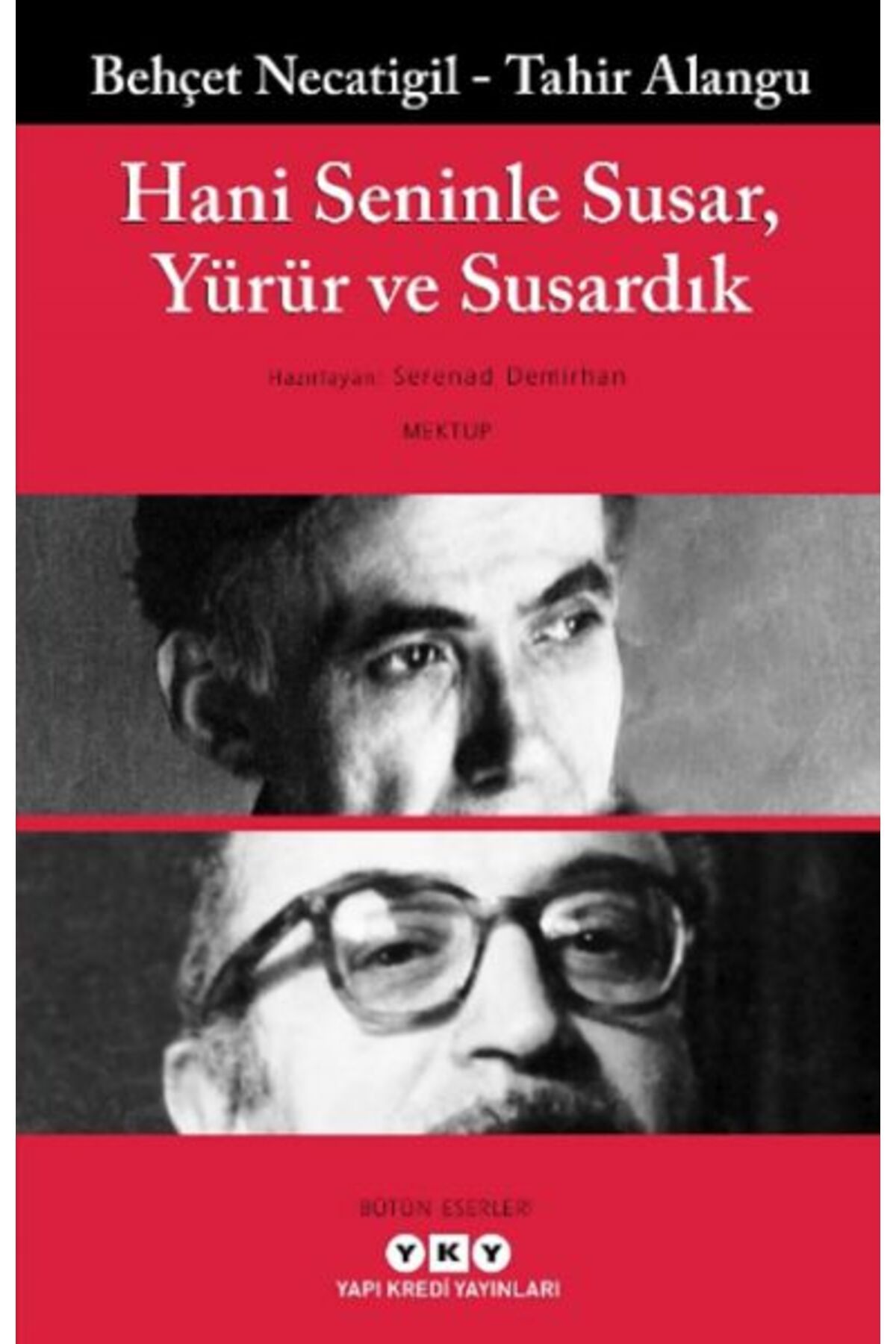 Destek Yayınları Hani Seninle Susar Yürür ve Susardık