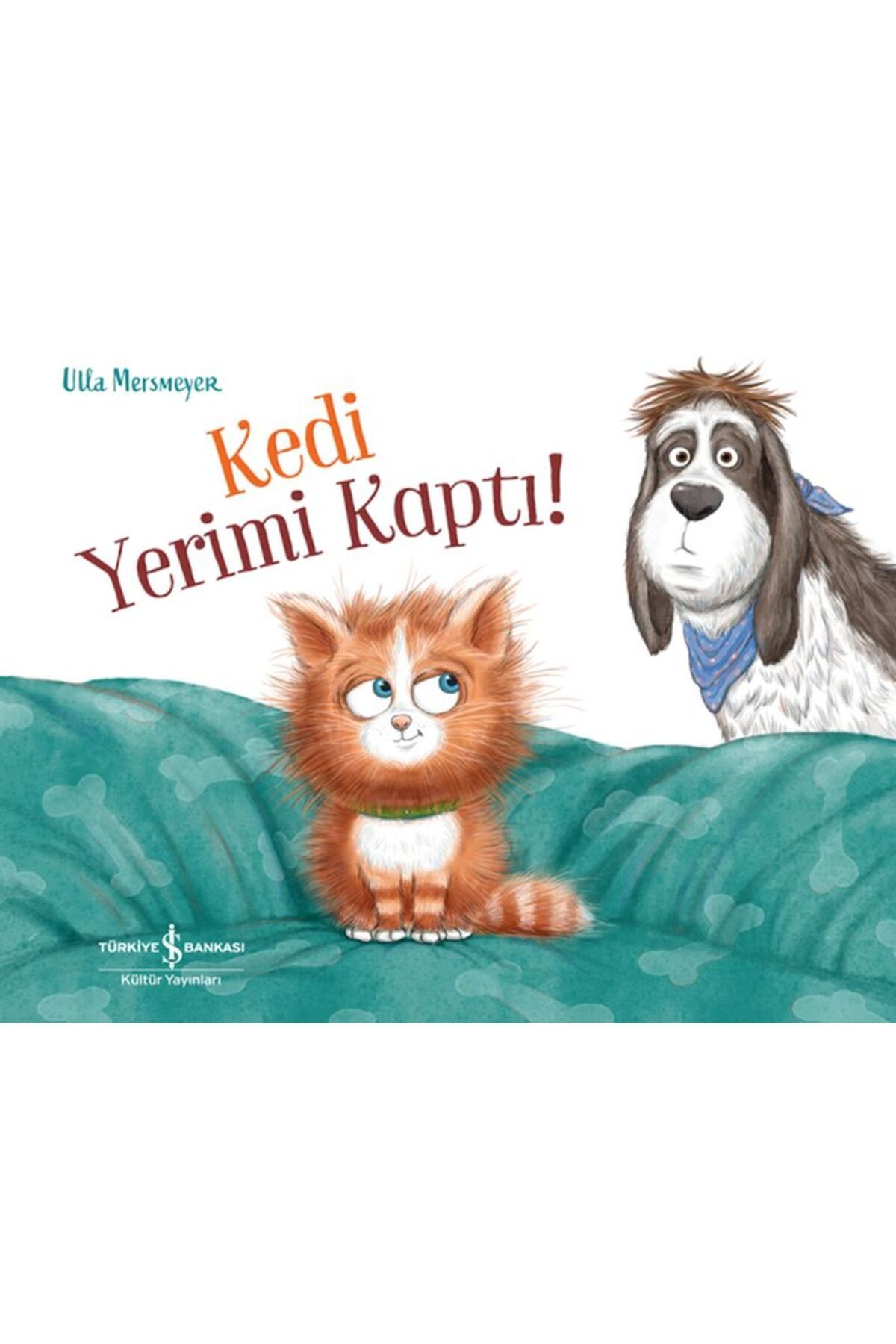 Destek Yayınları Kedi Yerimi Kaptı