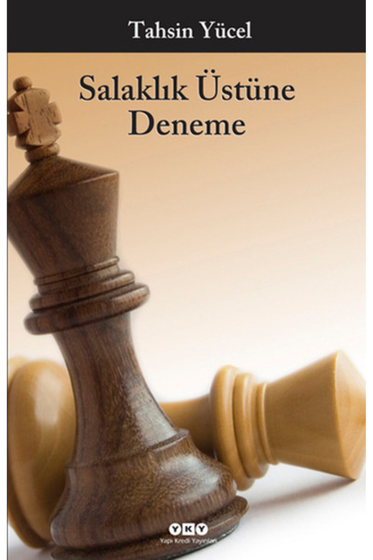Destek Yayınları Salaklık Üstüne Deneme