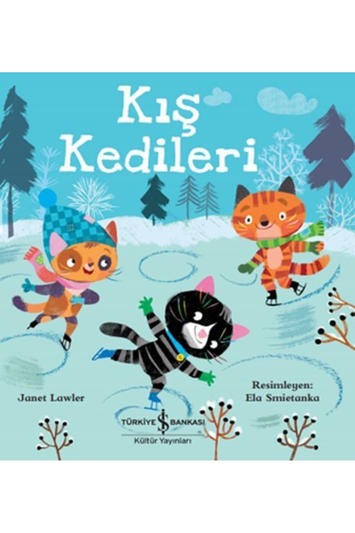Destek Yayınları Kış Kedileri