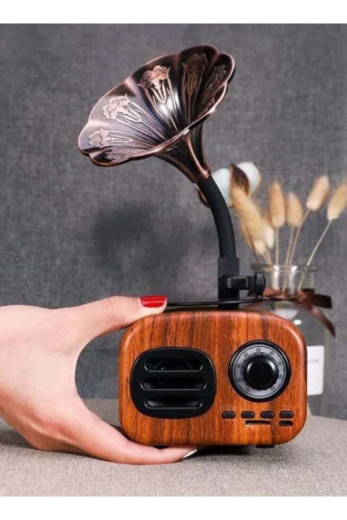 DLC-2 in 1 Wireless Bluetooth Speaker with FM Radio and MP3 Music. Attractive and distinctive shape It 4