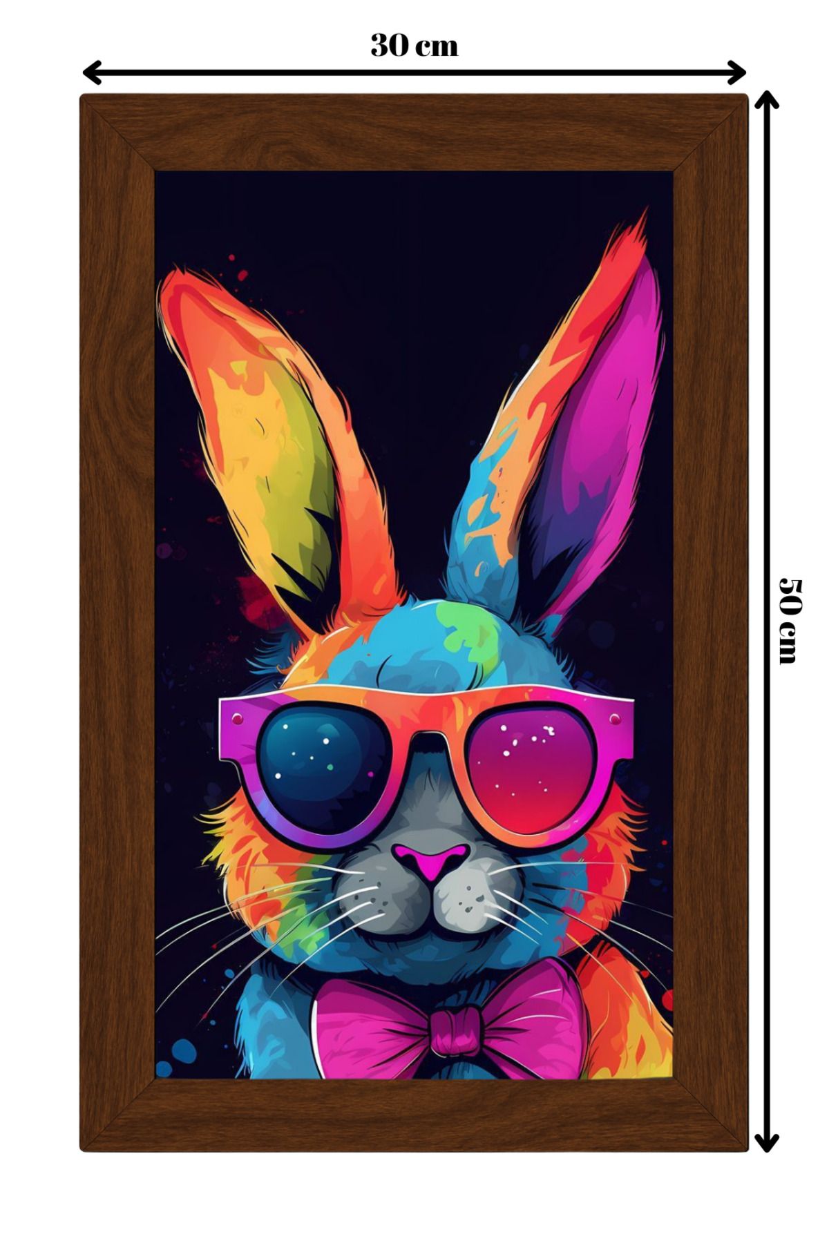 ColorCraft SERAMİK ÜZERİNE AHŞAP ÇERÇEVELİ 30x50cm TABLO NO:79